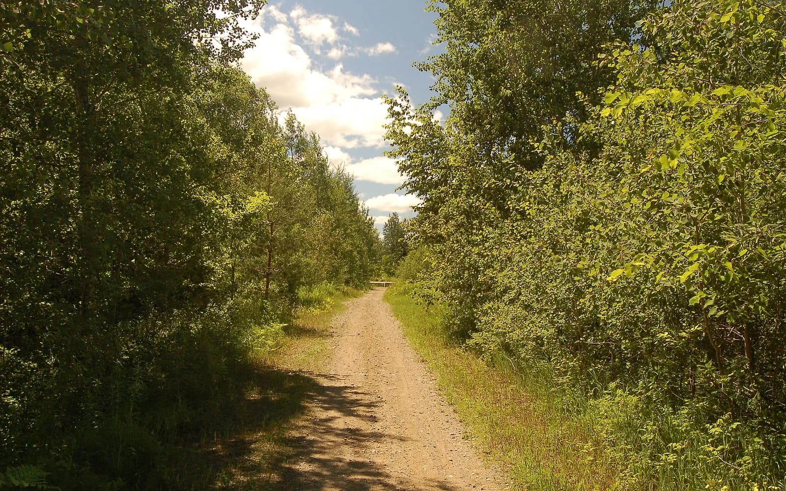 Rail trail in Uxbridge.
